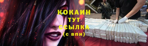 стафф Ельня