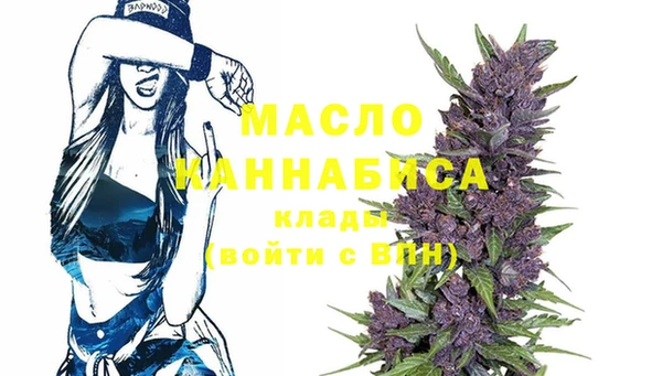 гашик Дмитриев