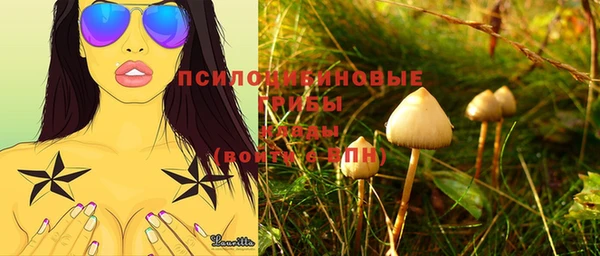 соль курить ск Заводоуковск