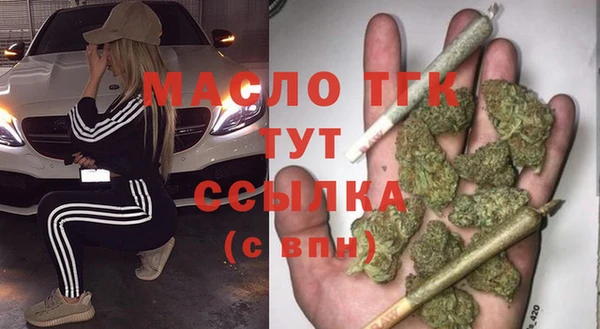 стафф Ельня