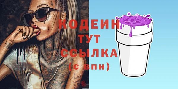 гашик Дмитриев