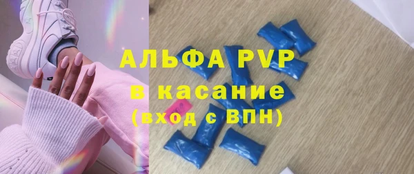 гашик Дмитриев